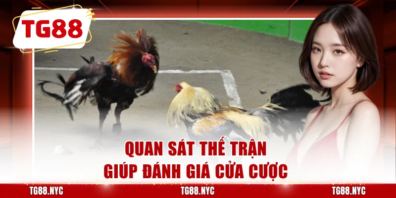 Quan sát thế trận giúp đánh giá cửa cược