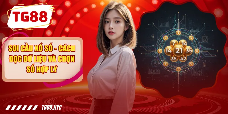 Soi Cầu Xổ Số - Cách Đọc Dữ Liệu Và Chọn Số Hợp Lý